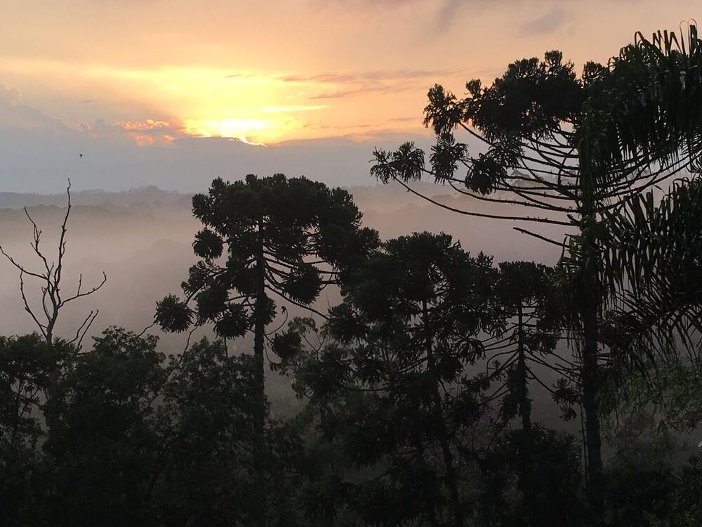 Chácara, 2 quartos, 1890 m² - Foto 1