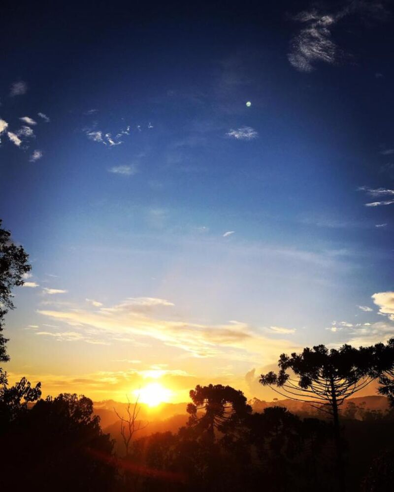 Chácara, 2 quartos, 1890 m² - Foto 3