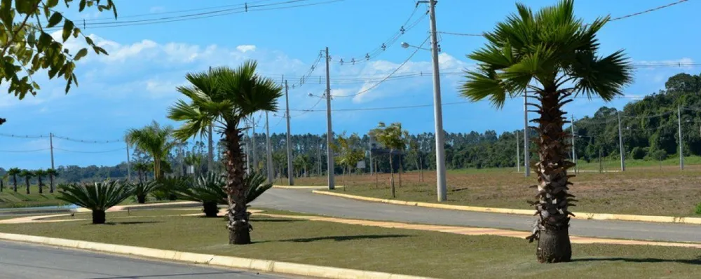 Terreno, 240 m² - Foto 11