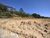 Terreno, 1624 m² - Foto 3