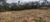 Terreno, 3655 m² - Foto 3