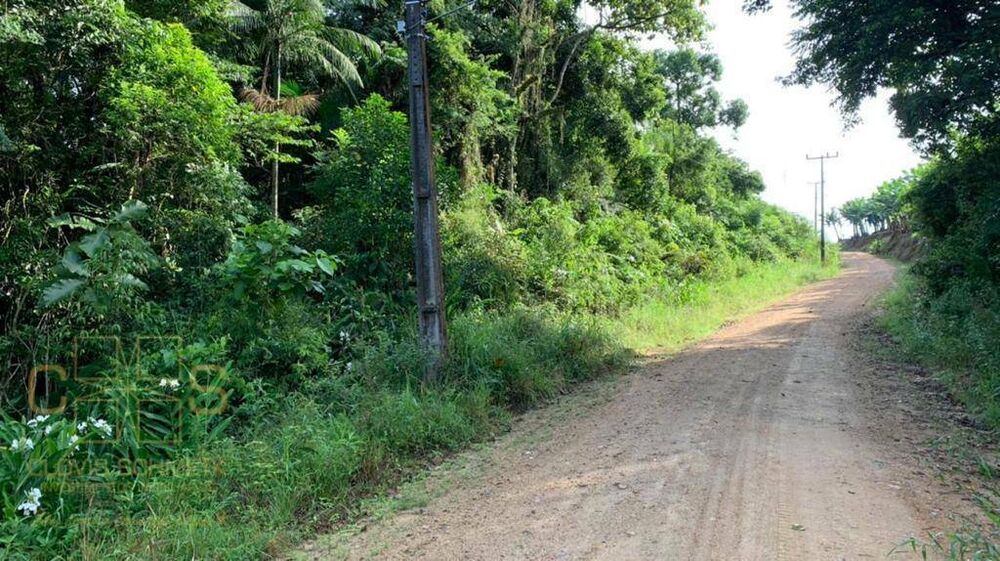Terreno, 3 hectares - Foto 4