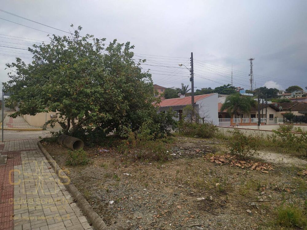 Terreno, 300 m² - Foto 3