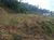 Terreno, 600 m² - Foto 4