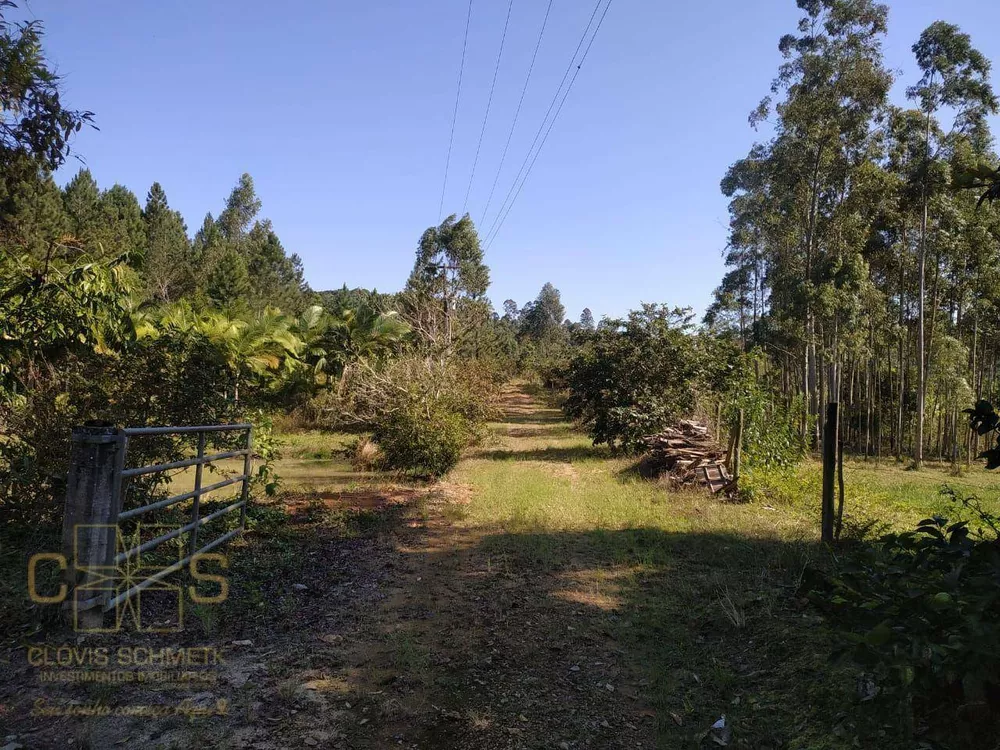Sítio, 3 quartos, 10 hectares - Foto 18