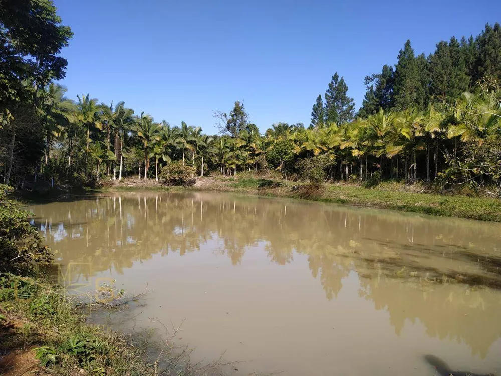 Sítio, 3 quartos, 10 hectares - Foto 16