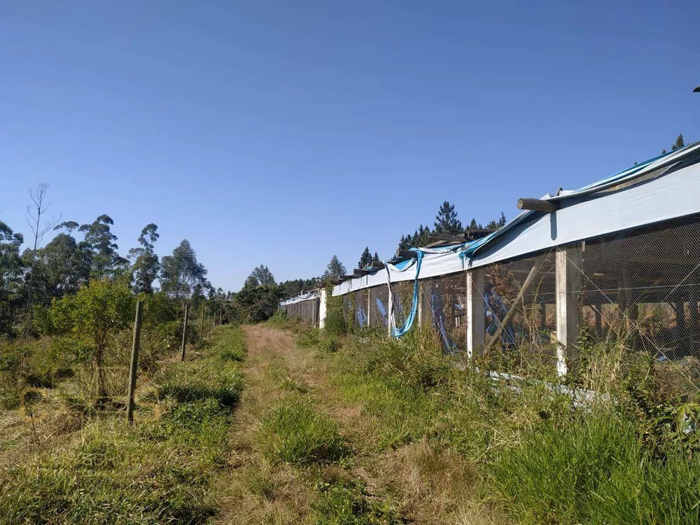 Sítio, 3 quartos, 10 hectares - Foto 20