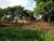 Terreno, 1200 m² - Foto 1