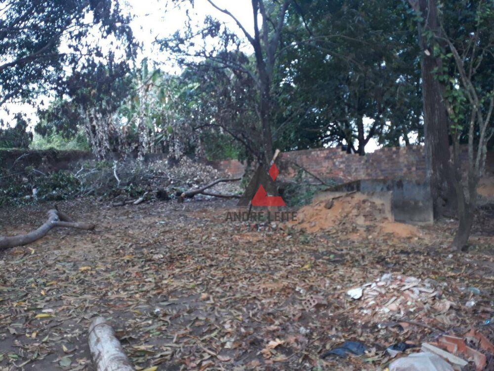 Casa, 3 quartos, 300 m² - Foto 4