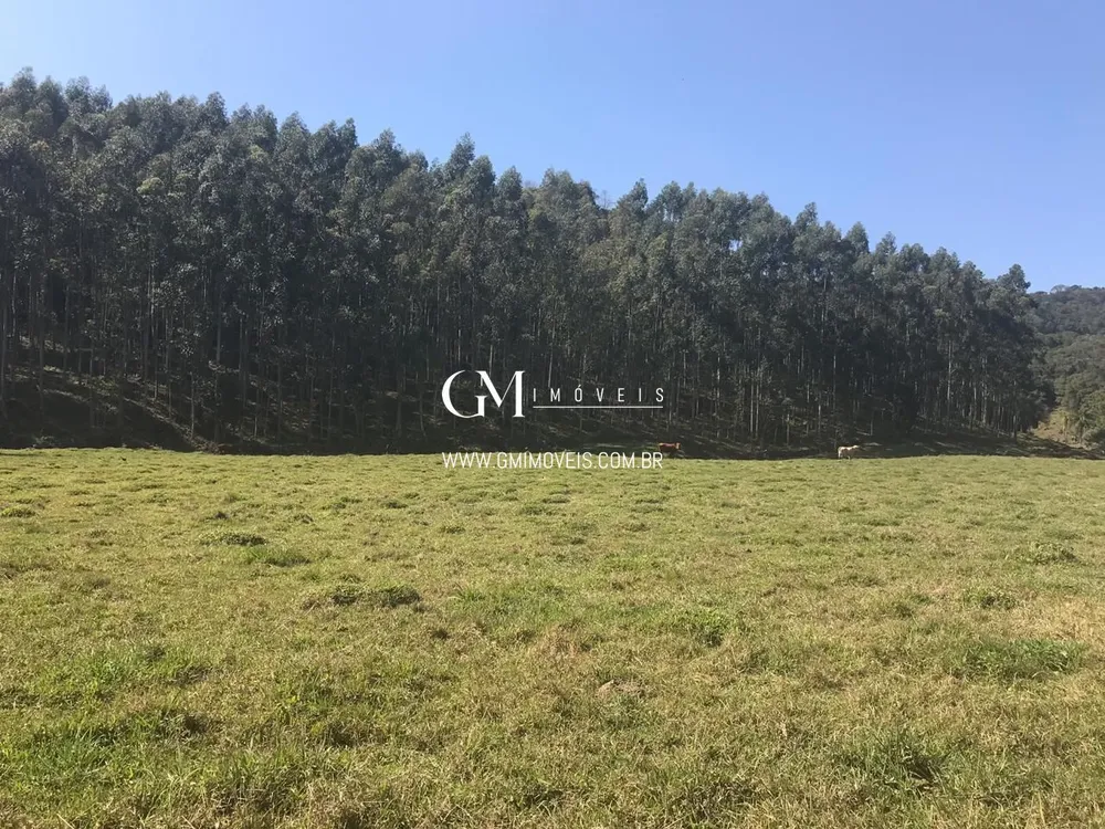 Fazenda, 135000 hectares - Foto 4