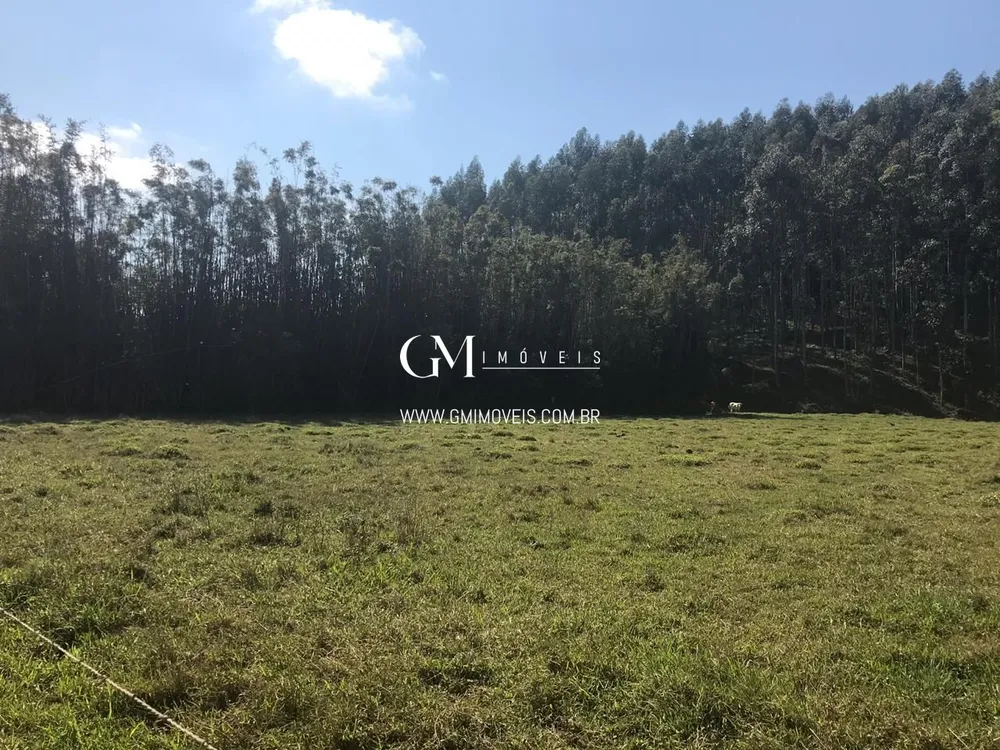Fazenda, 135000 hectares - Foto 3