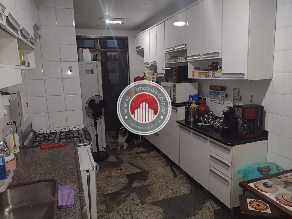 Cobertura, 4 quartos, 332 m² - Foto 4