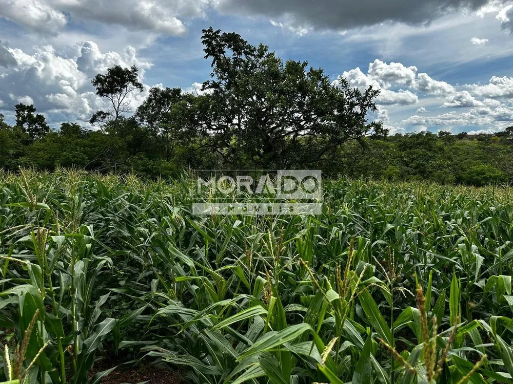 Terreno, 70000 m² - Foto 1