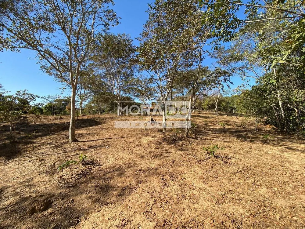 Terreno - Foto 2