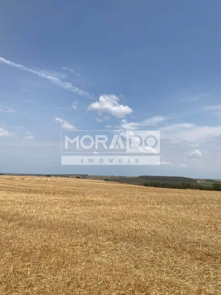 Fazenda, 412 hectares - Foto 4