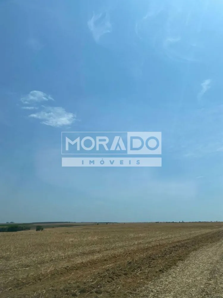 Fazenda, 412 hectares - Foto 2