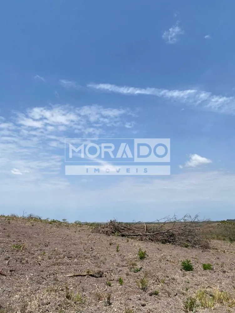Fazenda, 412 hectares - Foto 3