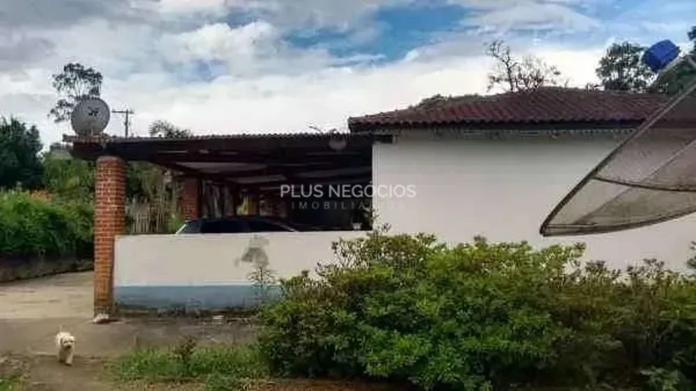Chácara, 4 quartos, 2 hectares - Foto 6