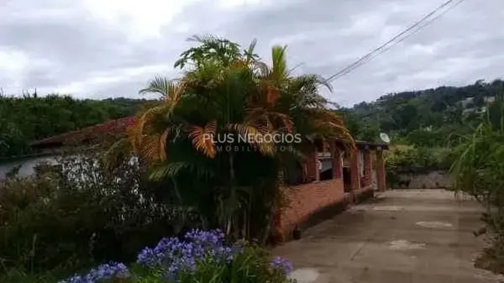 Chácara, 4 quartos, 2 hectares - Foto 8