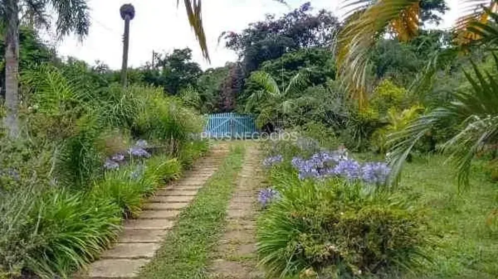 Chácara, 4 quartos, 2 hectares - Foto 7
