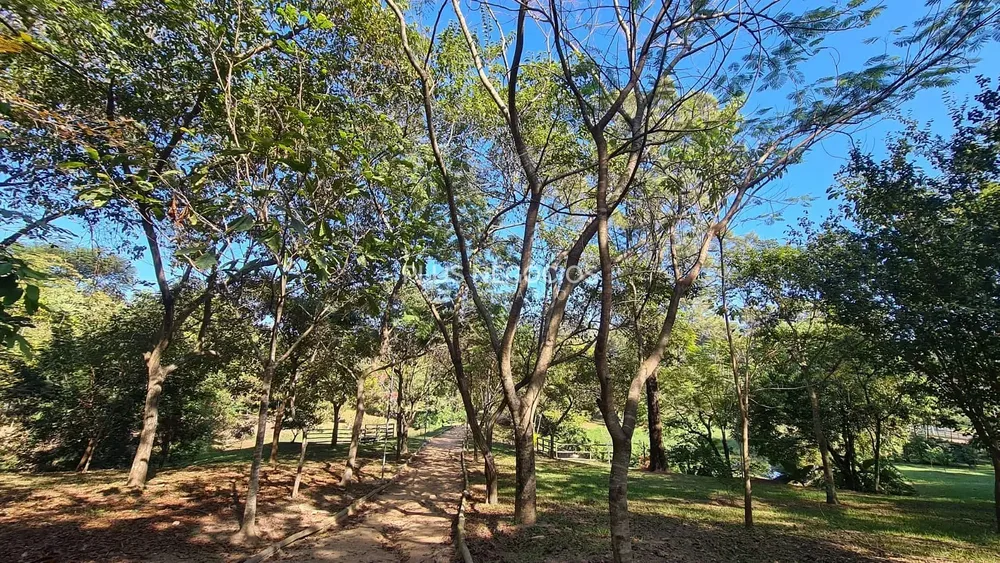 Casa, 4 quartos, 560 m² - Foto 12