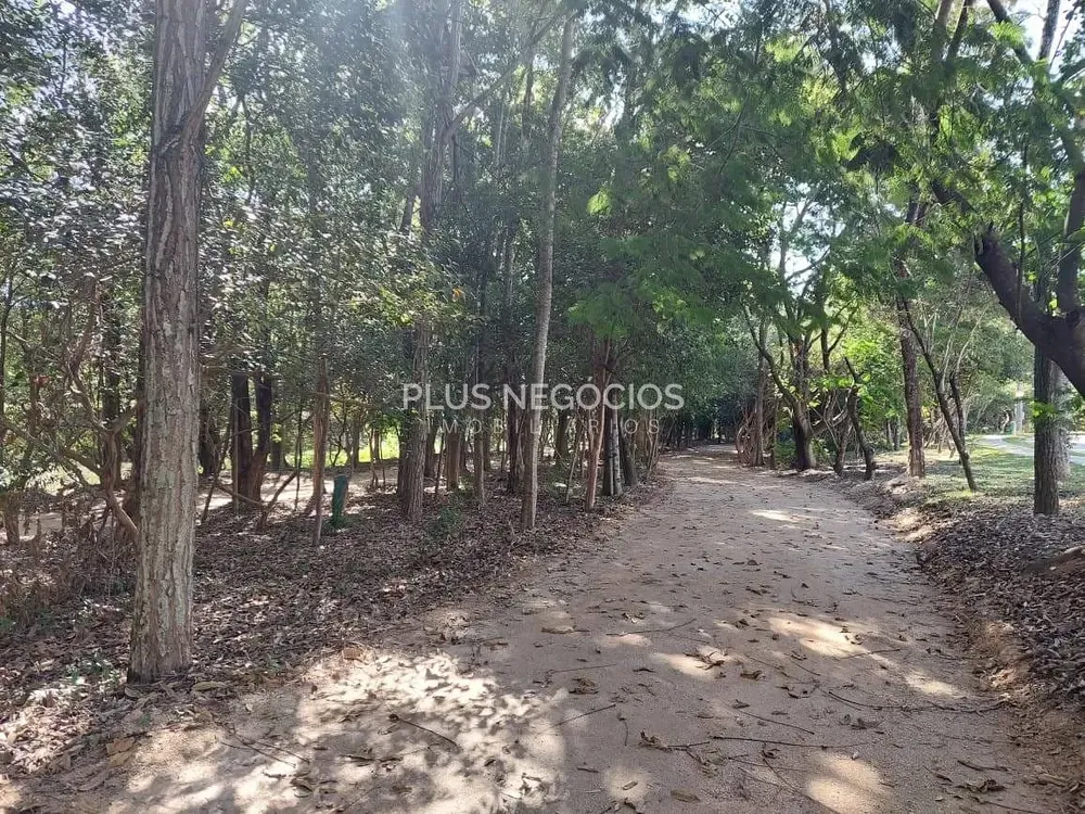 Casa, 4 quartos, 429 m² - Foto 12