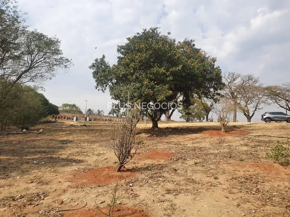 Terreno, 12 hectares - Foto 4