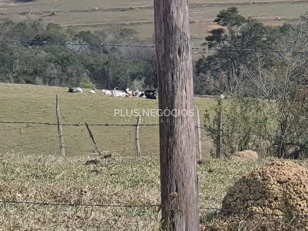 Terreno, 12 hectares - Foto 1