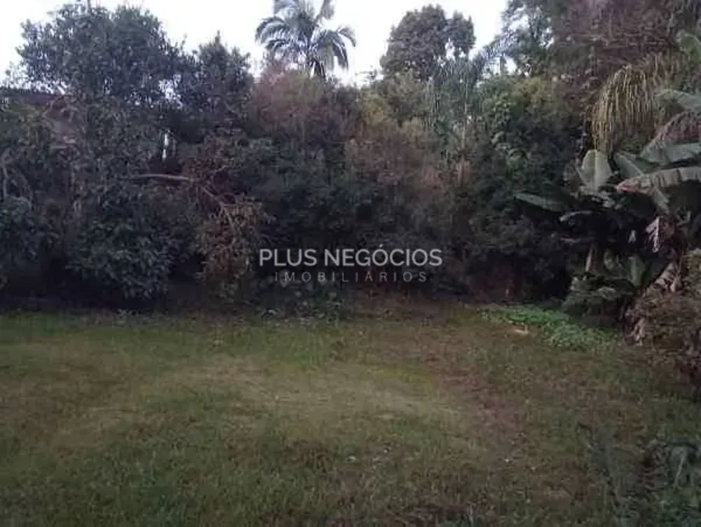 Chácara, 4 quartos, 3000 m² - Foto 9