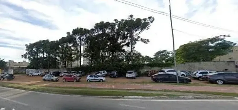 Terreno, 2 hectares - Foto 3