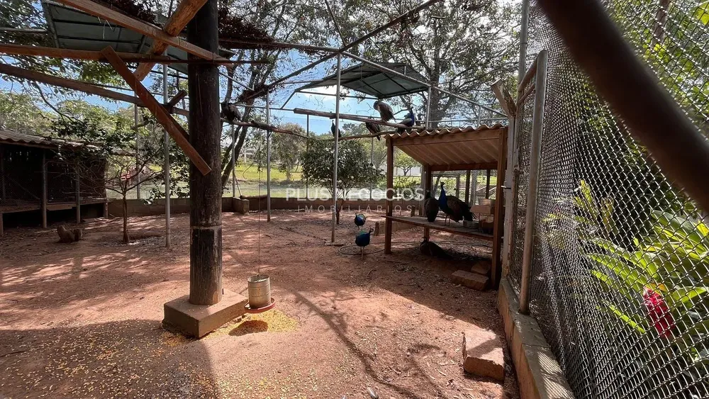 Terreno, 3000 m² - Foto 6
