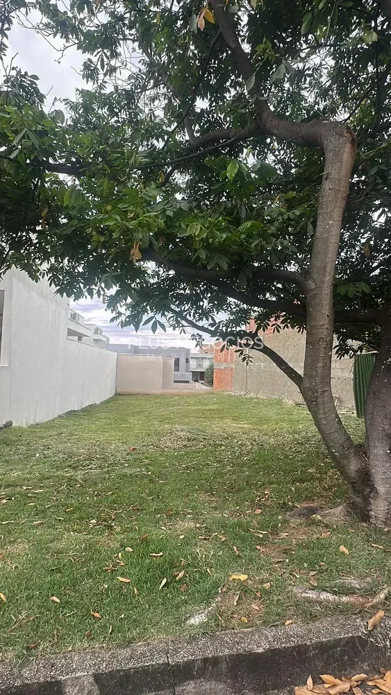 Terreno, 300 m² - Foto 3