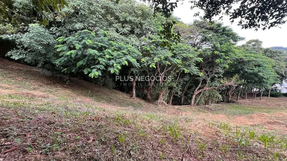 Terreno, 3200 m² - Foto 5