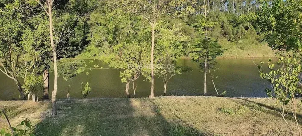 Terreno, 1001 m² - Foto 5