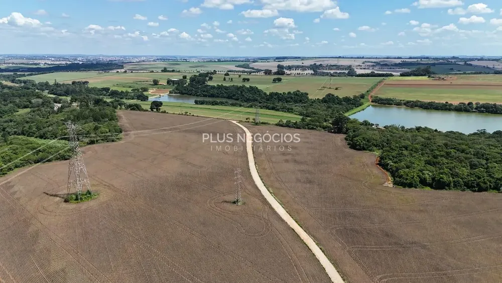 Fazenda, 65 hectares - Foto 7