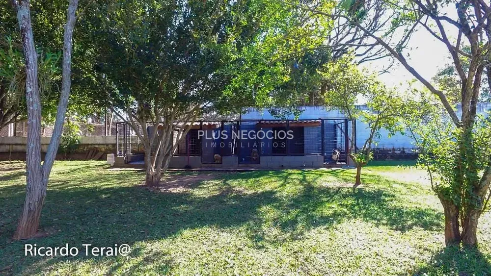 Casa, 4 quartos, 650 m² - Foto 9
