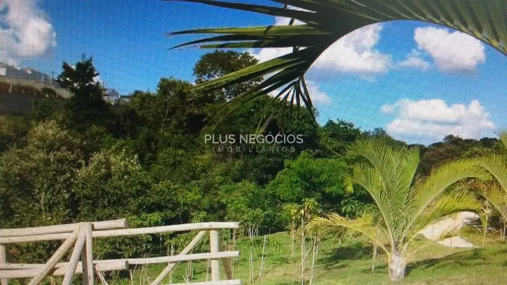 Casa, 3 quartos, 300 m² - Foto 8