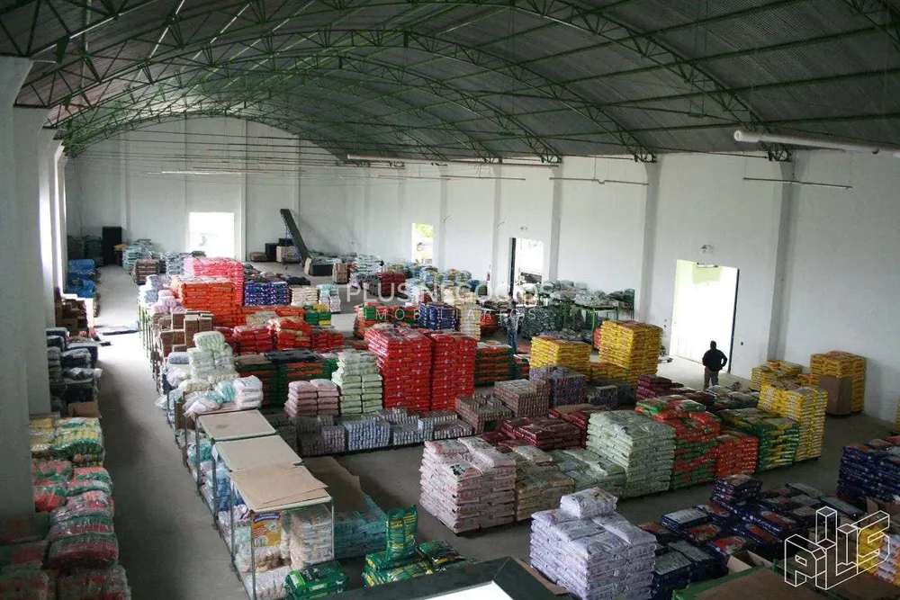 Depósito-Galpão, 2800 m² - Foto 6