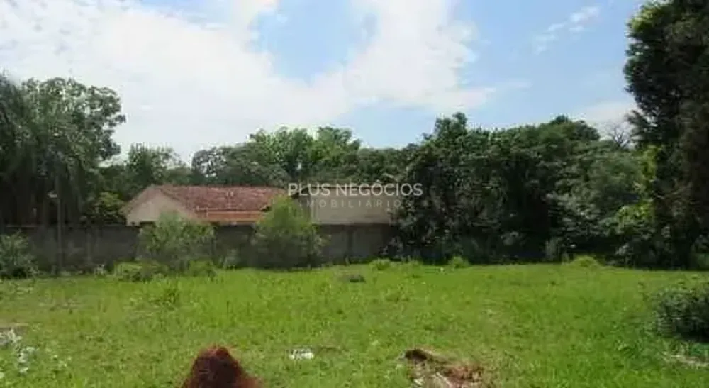 Terreno, 5000 m² - Foto 3