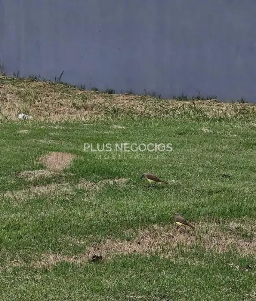 Terreno, 1000 m² - Foto 4