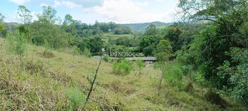 Terreno, 3 hectares - Foto 10
