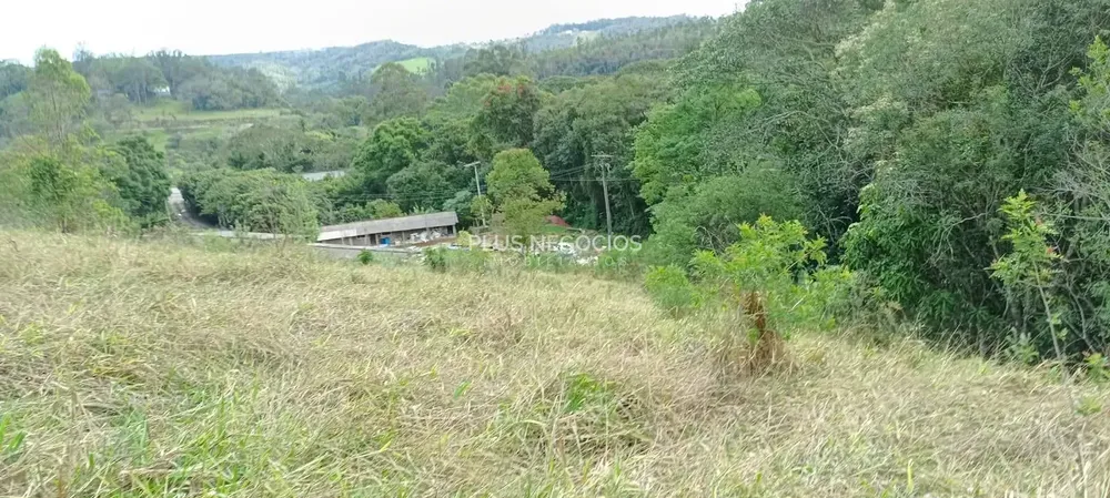Terreno, 3 hectares - Foto 12