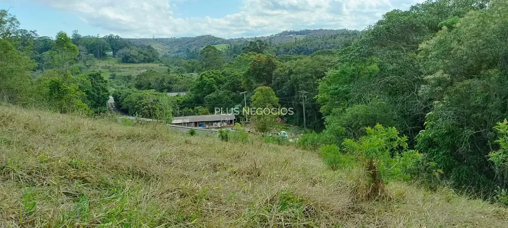 Terreno, 3 hectares - Foto 11
