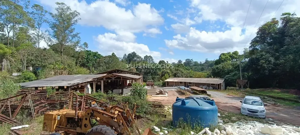 Terreno, 3 hectares - Foto 4