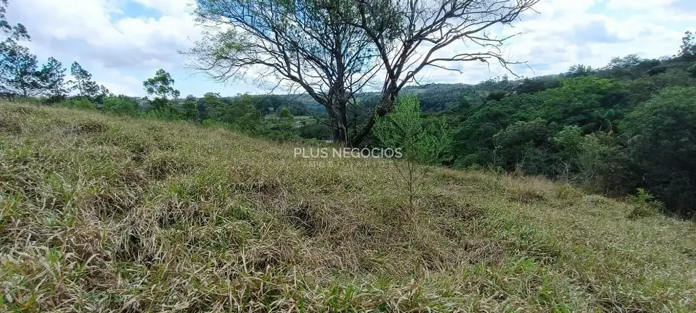 Terreno, 3 hectares - Foto 8