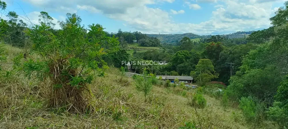 Terreno, 3 hectares - Foto 7