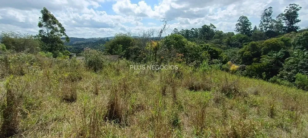 Terreno, 3 hectares - Foto 9