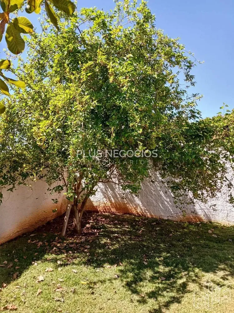 Chácara, 3 quartos, 1000 m² - Foto 7