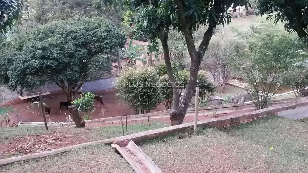 Chácara, 5 quartos, 2400 m² - Foto 4