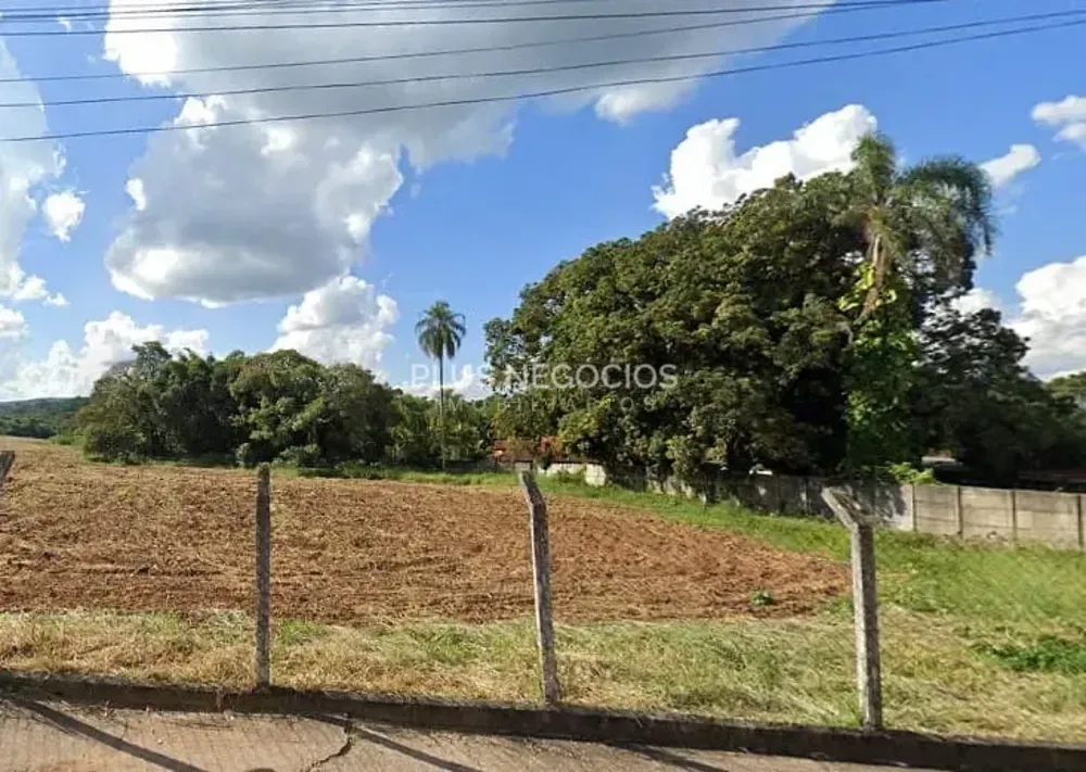 Terreno, 5 hectares - Foto 6
